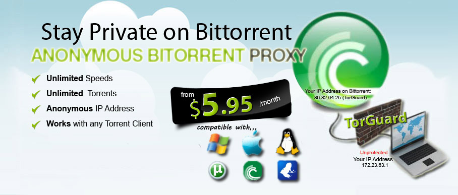 Using Bittorrent With Proxy Server