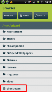 Android OpenVPN Setup