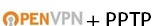 openvpn