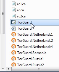 torguardlite
