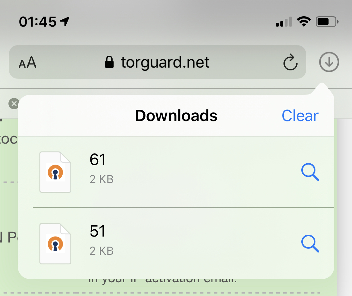 iOS OpenVPN Step 3