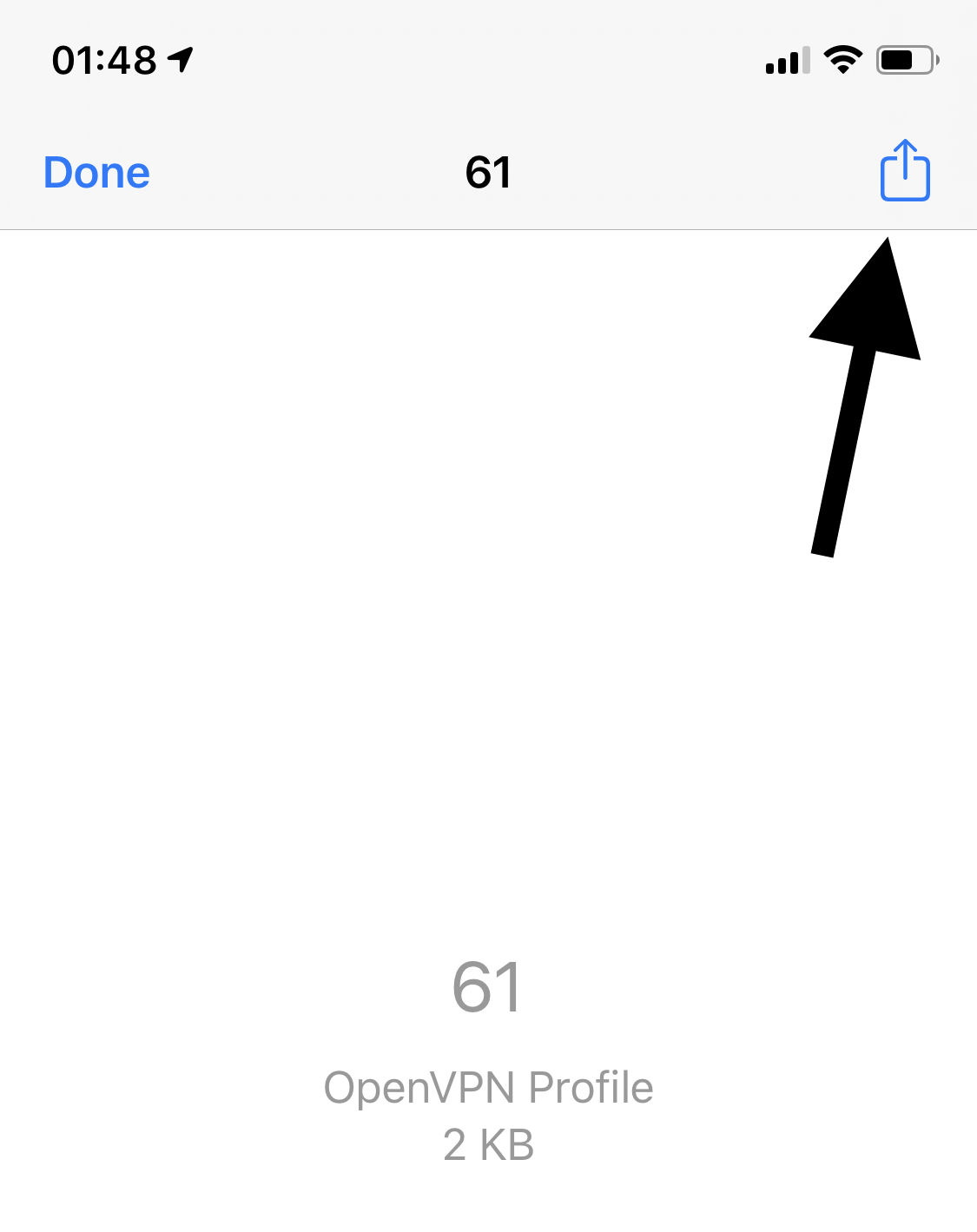 iOS OpenVPN Step 4