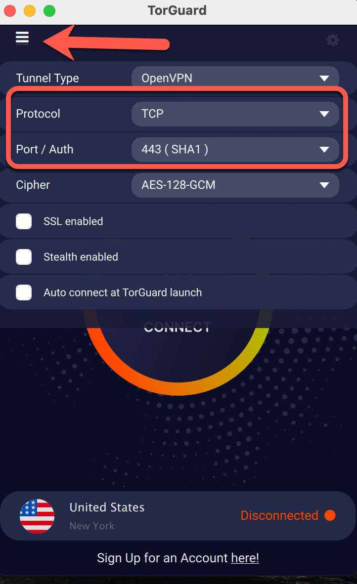 torguard public ip detection failed